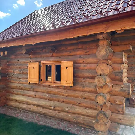 Holiday home Zlatiborske Brvnare Savic Zlatibor